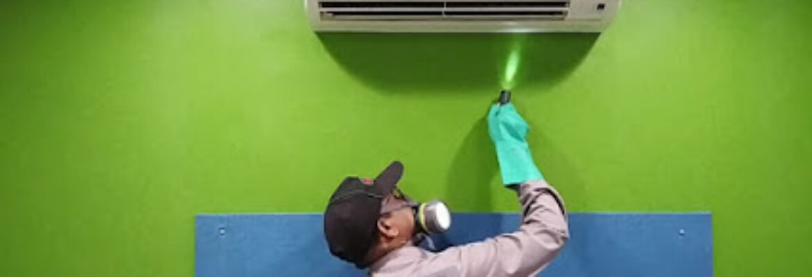 Rentokil PCI Pest Control Service