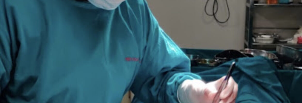 The Gynaec Guides Dr Bhoomika Jain  MS Best Gynecologist in South Mumbai   Doctor For Vaginal Infection Urine Infection