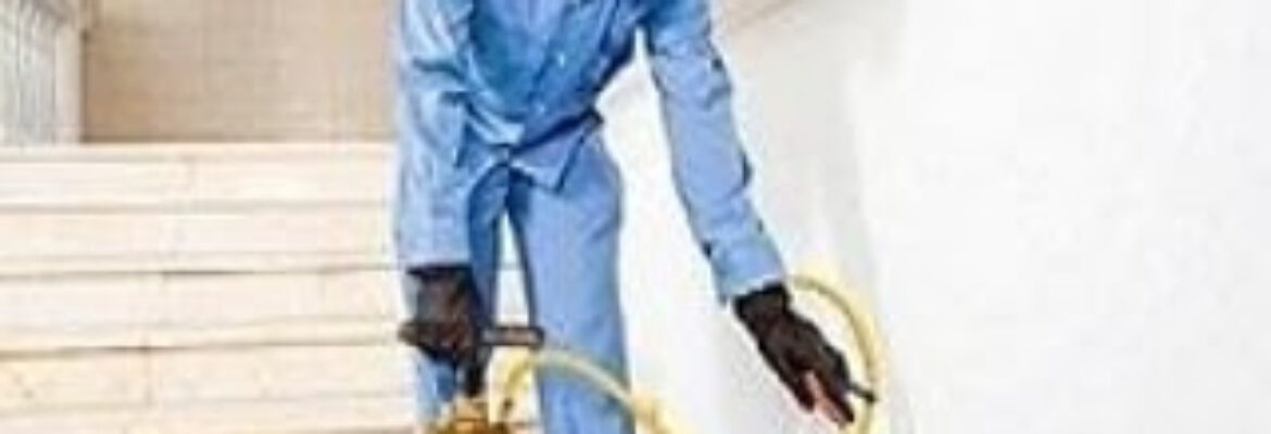 Huerbogreenpestcontrol