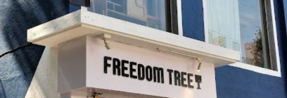 Freedom Tree   Interior Products Design Studio   Home Store in Mahalaxmi  Mumbai